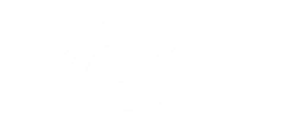 n light